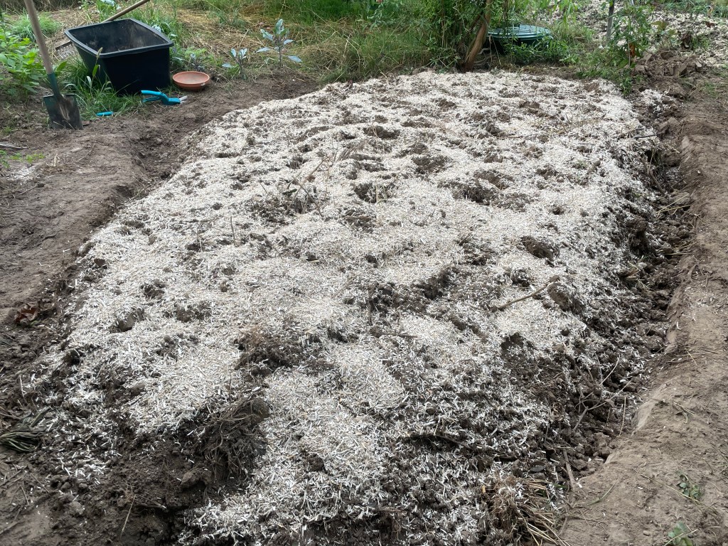 Herbst im Naturgarten
Kerstin Dähne
Beet fertig mit Saat und Mulch