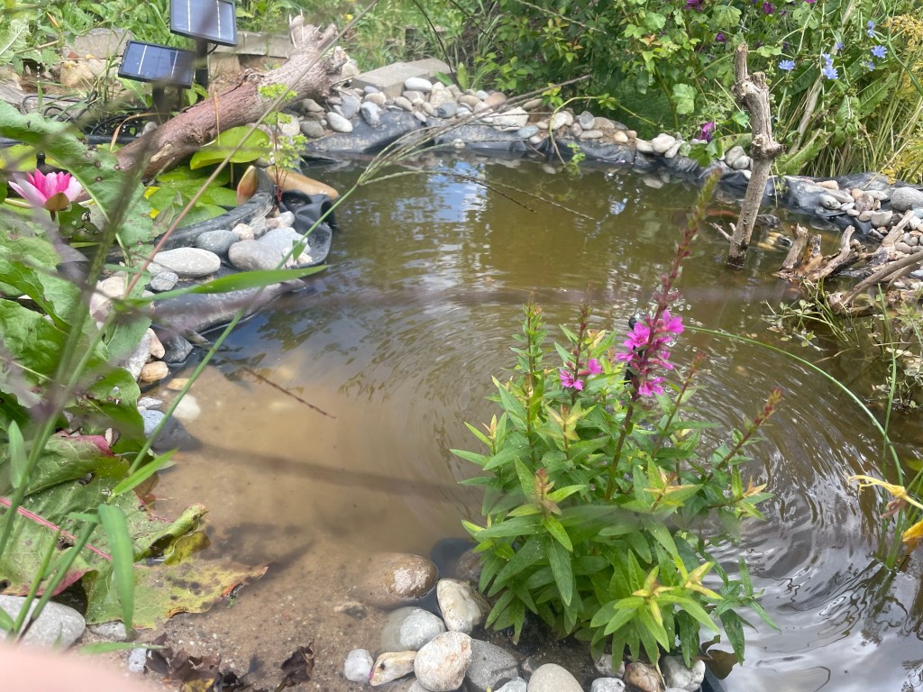 Die Hotspotzone im Hortus
Gartenteich
Naturgarten
Kerstin Dähne