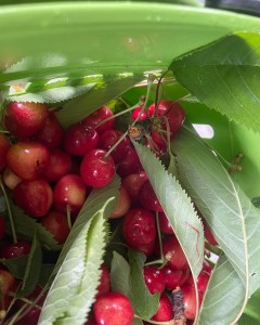 Erfahrungen sammeln und wachsen – mein Jahresrückblick 2022