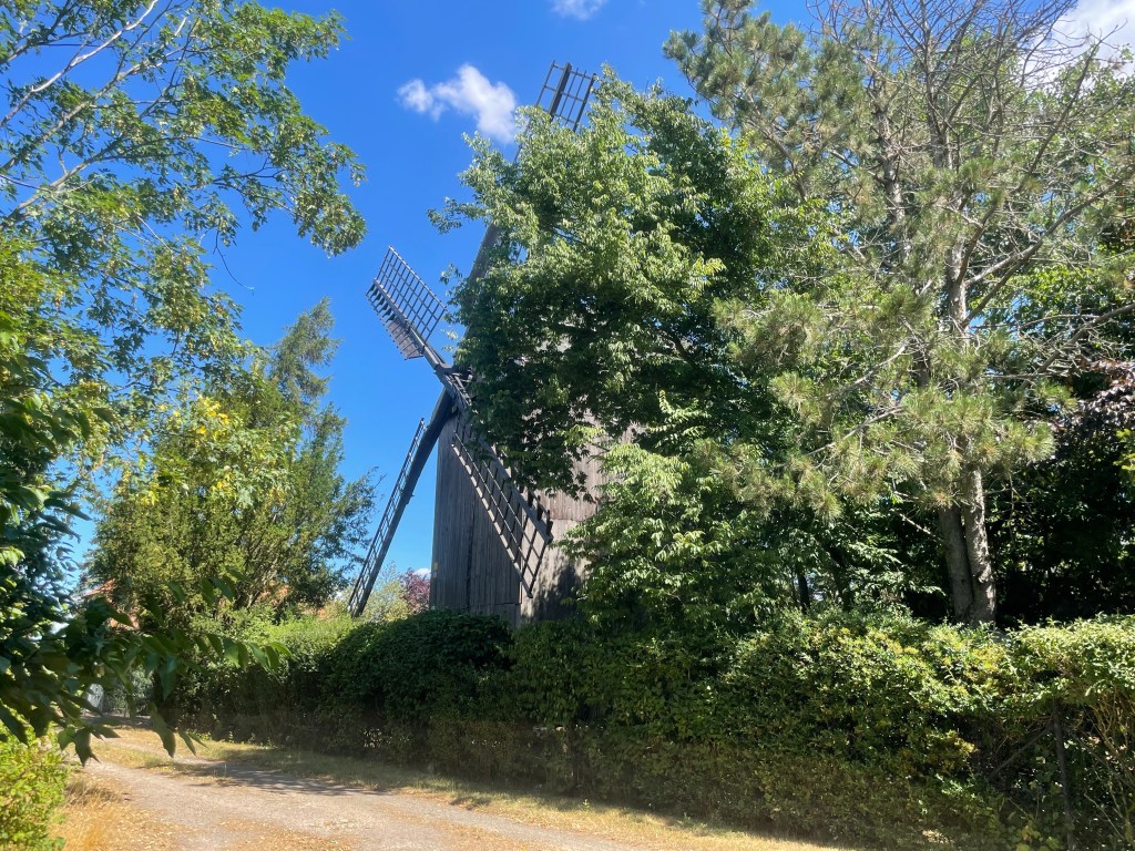 12 von 12 im Juli 2022 - Bilder aus meinem Naturgarten
Windmühle bei Oschatz
Kerstin Dähne