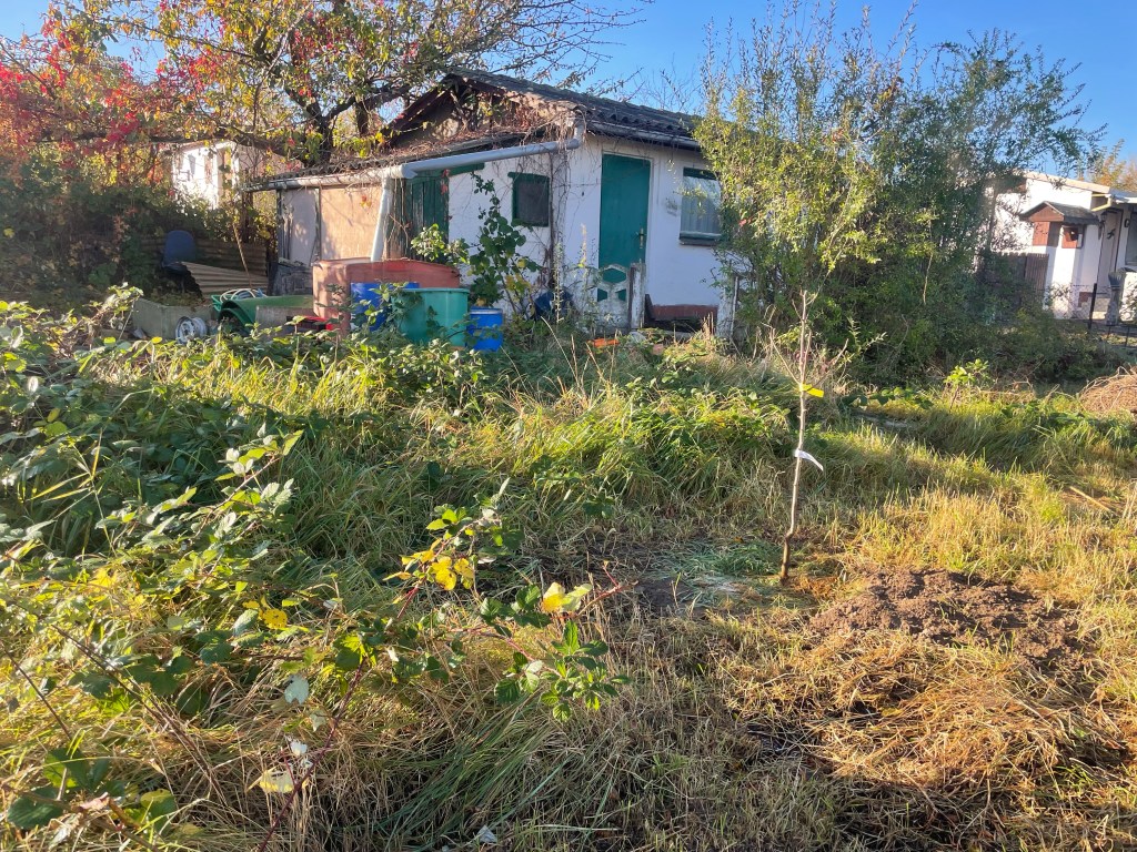 Ein Garten auf dem Weg zum Naturgarten
Verwilderter Garten nach Pflegearbeiten
Naturgarten
Kerstin Dähne