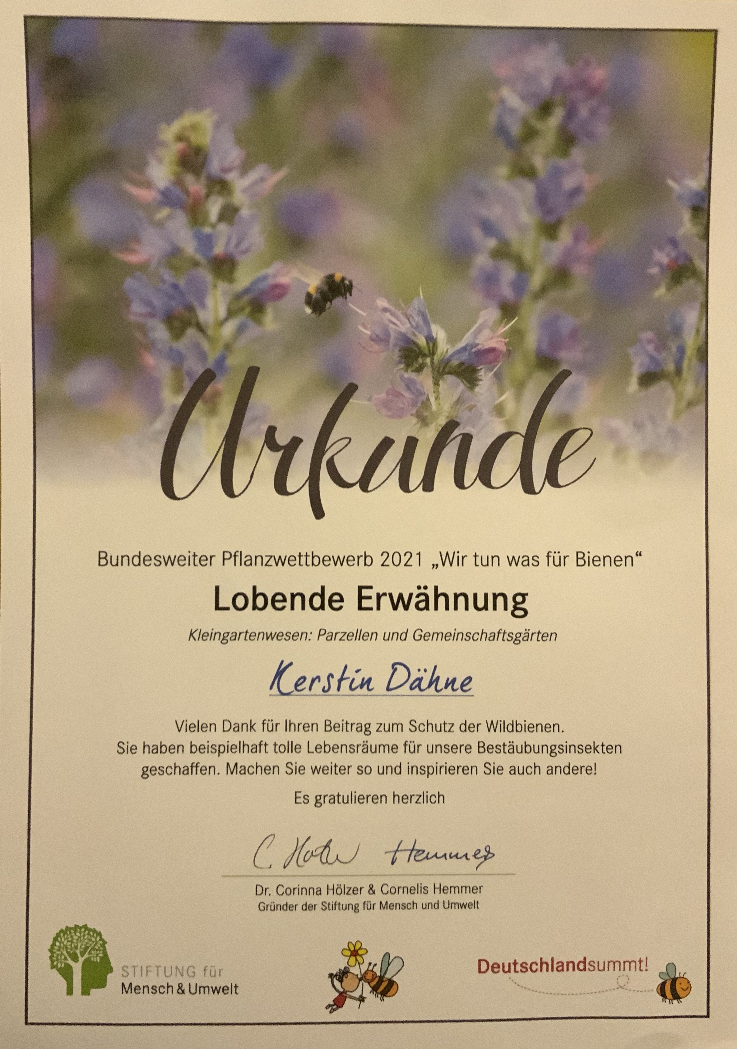 Erfahrungen sammeln und wachsen – mein Jahresrückblick 2022,
Urkunde Deutschland summt 2021