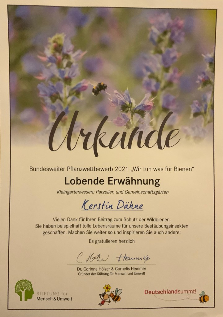 Persönliche Weiterentwicklung – Jahresrückblick 2021
Urkunde „Deutschland summt!“