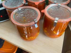 Erfahrungen sammeln und wachsen – mein Jahresrückblick 2022