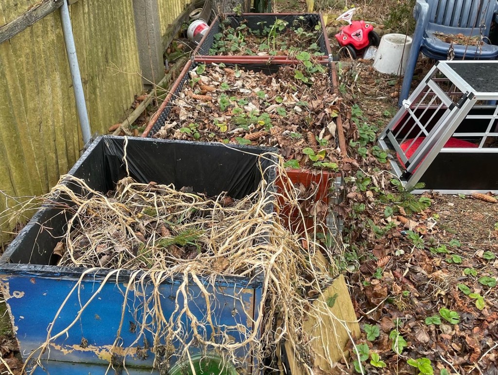 Ein Hortus soll entstehen 
Natur im Garten
Welche Voraussetzungen hat der Garten?
Foto mit Hochbeete 