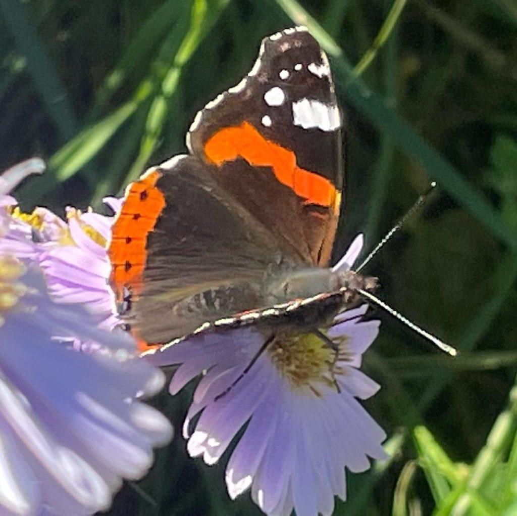 Die Hotspotzone im&nbsp;Hortus