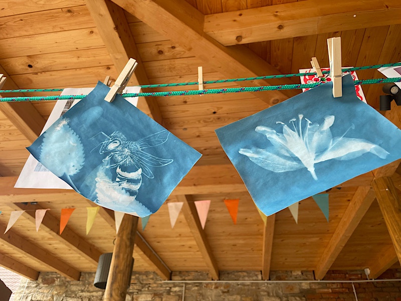 Erfahrungen sammeln und wachsen – mein Jahresrückblick 2022,
Cyanotypie