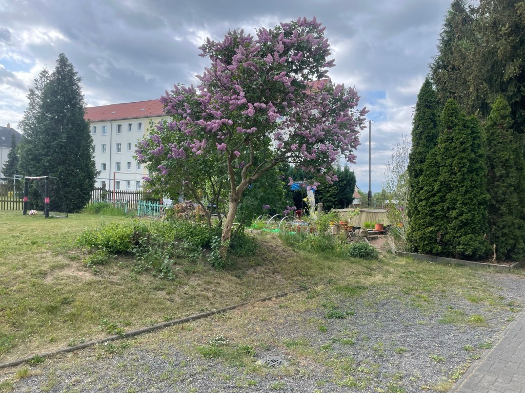 12 von 12 im Mai 2022