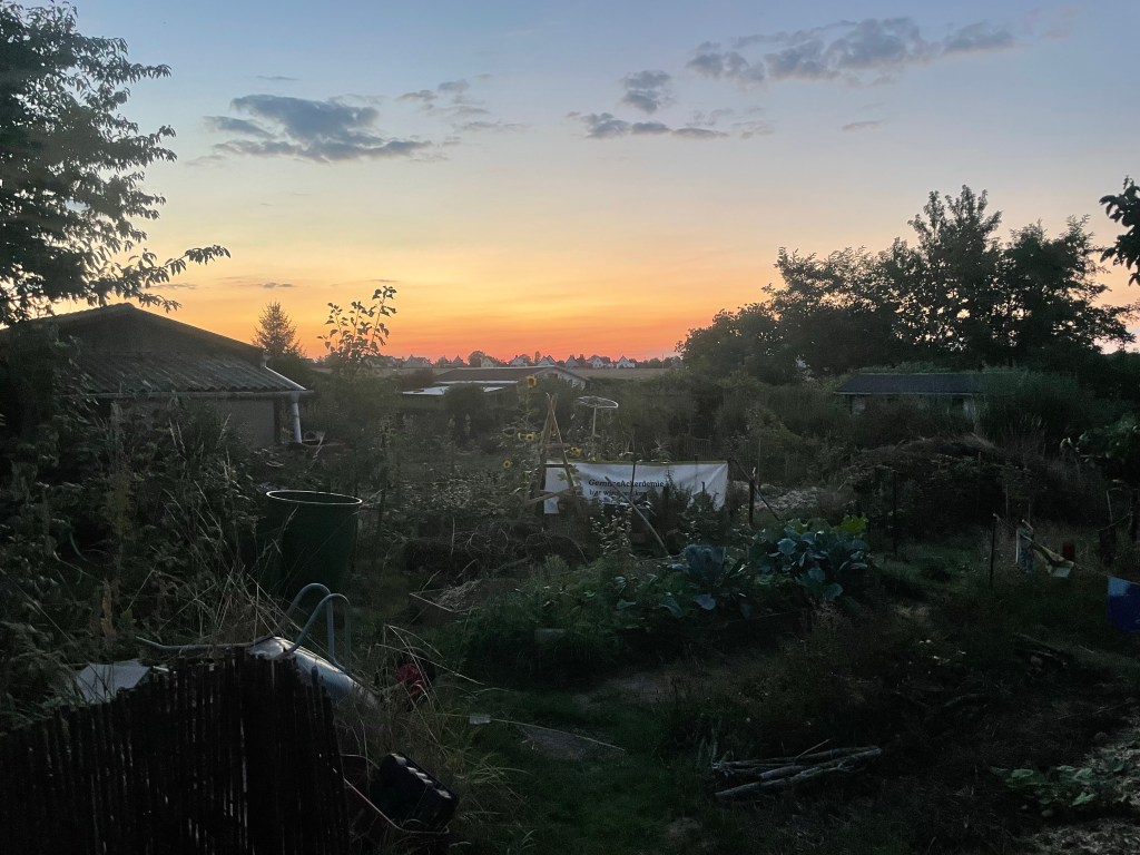 Herbst im Naturgarten
Kerstin Dähne
Sonnenuntergang