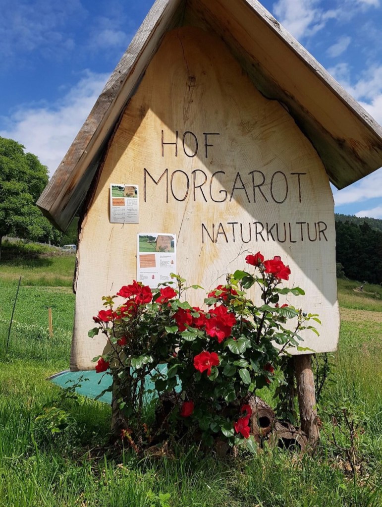 Erfahrungen sammeln und wachsen – mein Jahresrückblick 2022
Foto Hof Morgarot