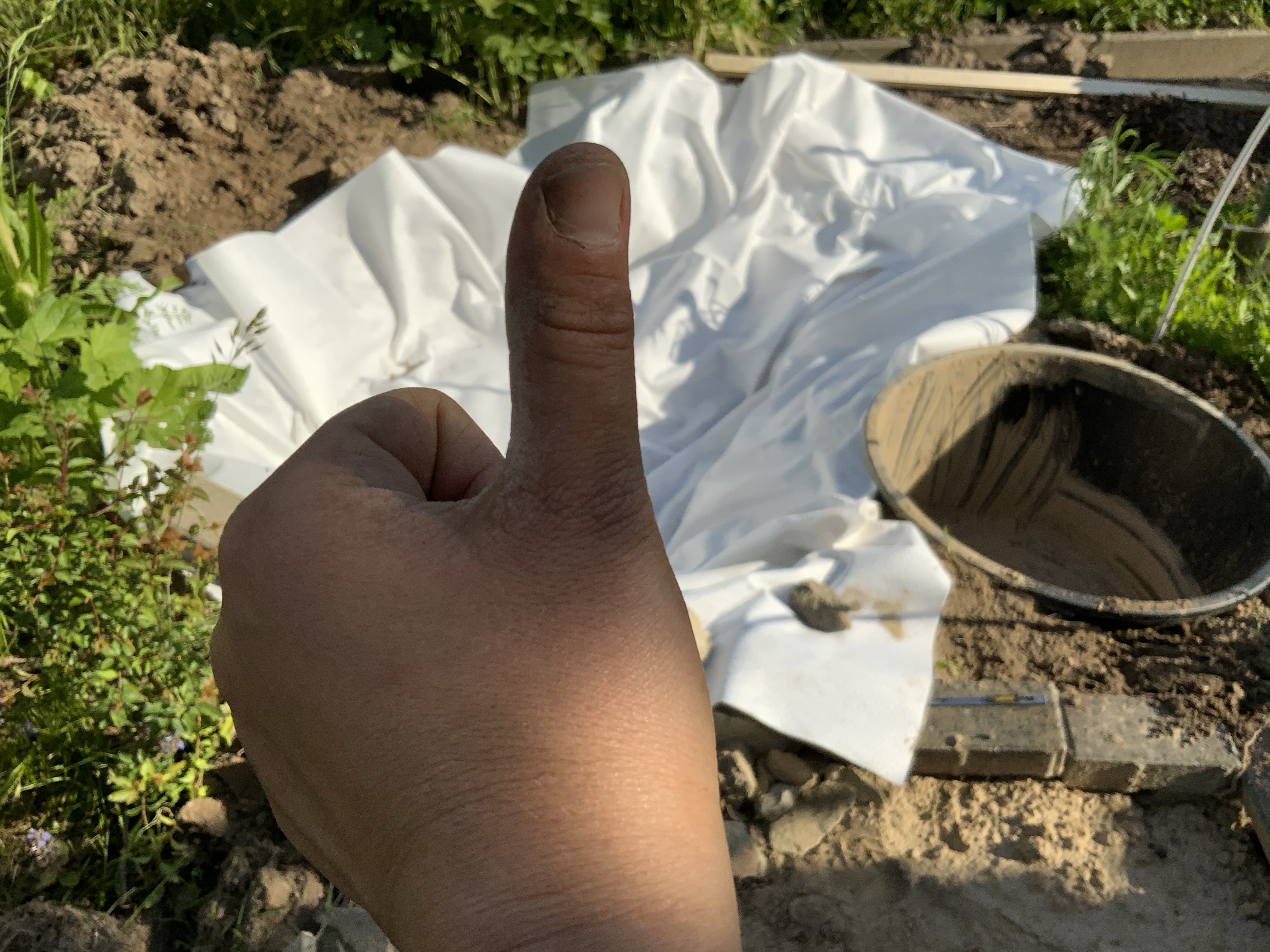 Stillstand gibt es in der Natur nicht – eine Blühwiese entwickelt sich – Veränderungen von Menschenhand