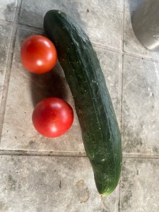 Erfahrungen sammeln und wachsen – mein Jahresrückblick 2022