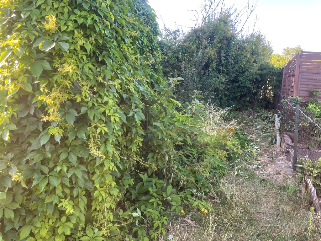 12 von 12 im Juli 2022 - Bilder aus meinem Naturgarten
Kerstin Dähne Naturgarten