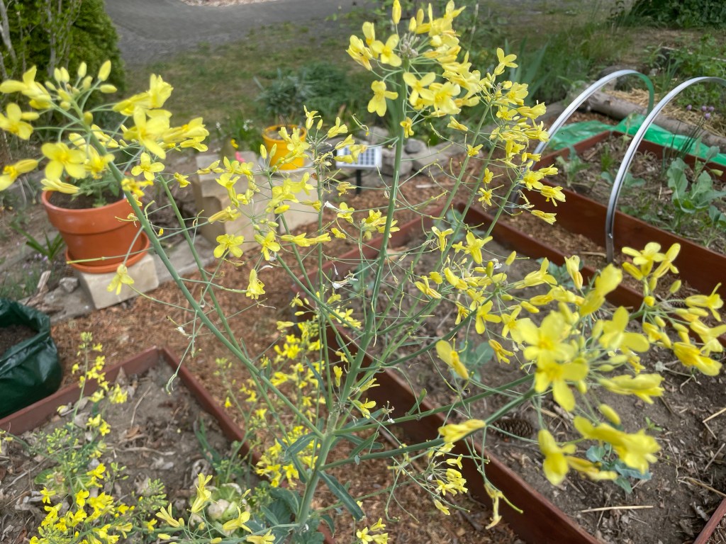 12 von 12 im Mai 2022