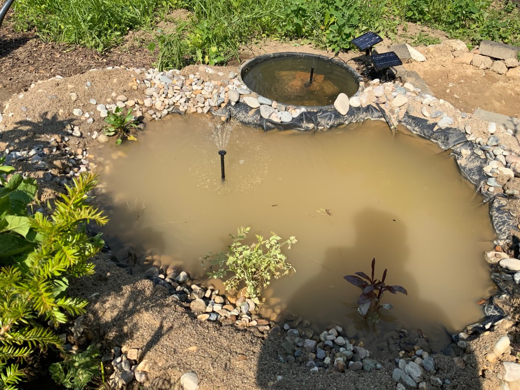 Stillstand gibt es in der Natur nicht – eine Blühwiese entwickelt sich – Veränderungen von Menschenhand,
fertiger Gartenteich