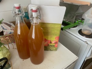 Erfahrungen sammeln und wachsen – mein Jahresrückblick 2022