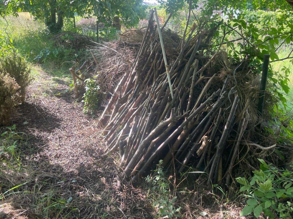 Die Hotspotzone im Hortus
Totholzhaufen
Naturgarten
Kerstin Dähne