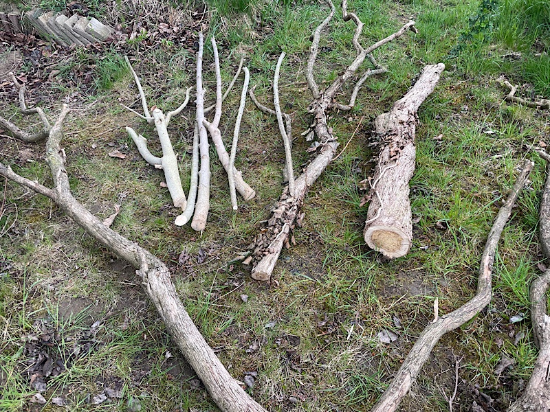 Erfahrungen sammeln und wachsen – mein Jahresrückblick 2022,
Totholz,
Naturgarten Kerstin Dähne