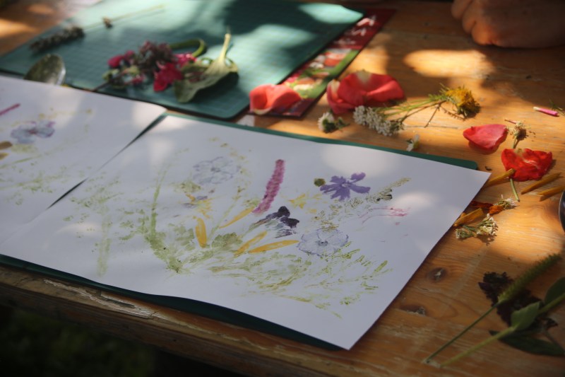 Bild mit Blütenblättern erstellt
Naturgarten
Kerstin Dähne