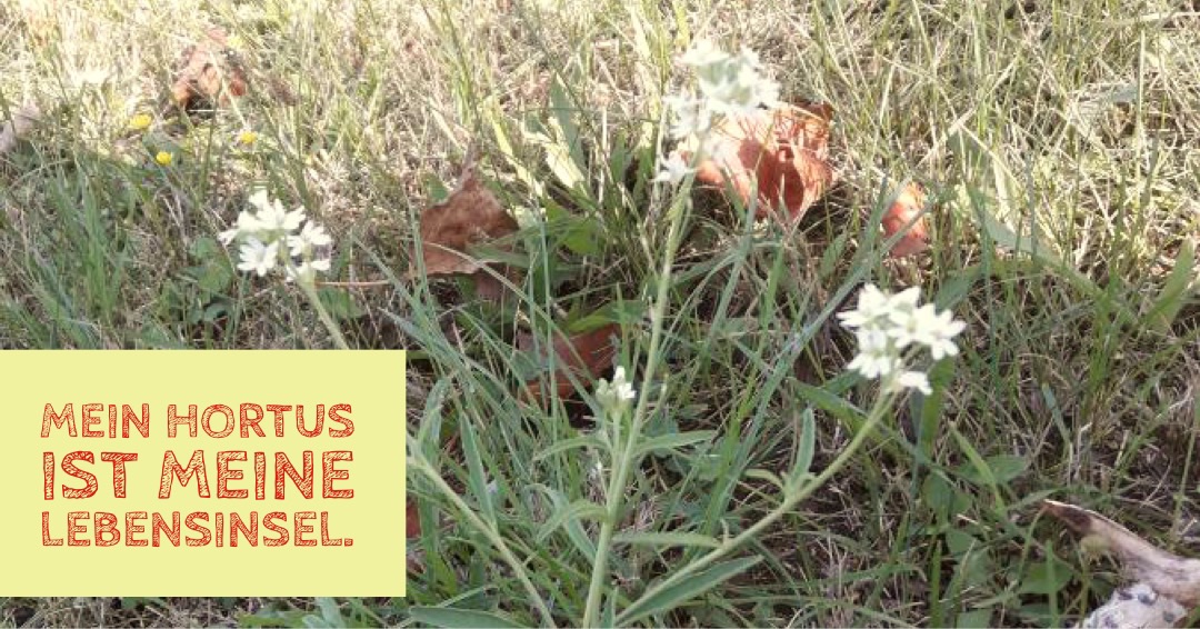 Mein Hortus
Was ist ein Hortus?
Kerstin Dähne
Hortusprinzip