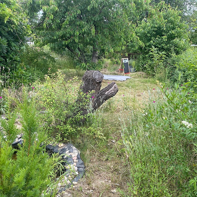 Erfahrungen sammeln und wachsen – mein Jahresrückblick 2022,
Wiese für Kinder