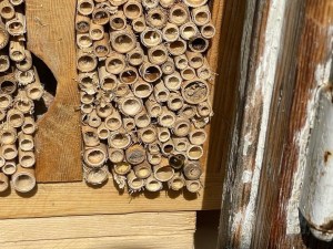 Erfahrungen sammeln und wachsen – mein Jahresrückblick 2022