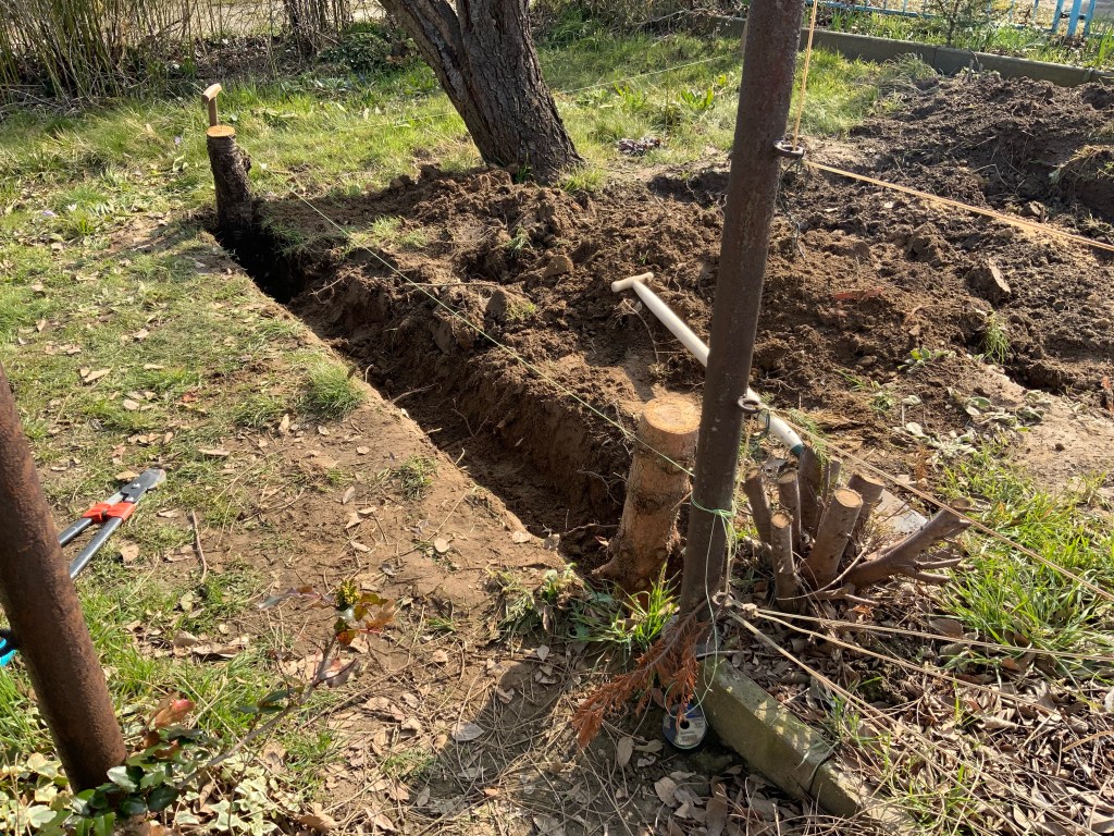 Anlage einer Blühwiese – die Fertigstellung
Trockenmauer aus Holz
Naturgarten
Kerstin Dähne