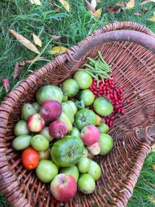 Erfahrungen sammeln und wachsen – mein Jahresrückblick 2022