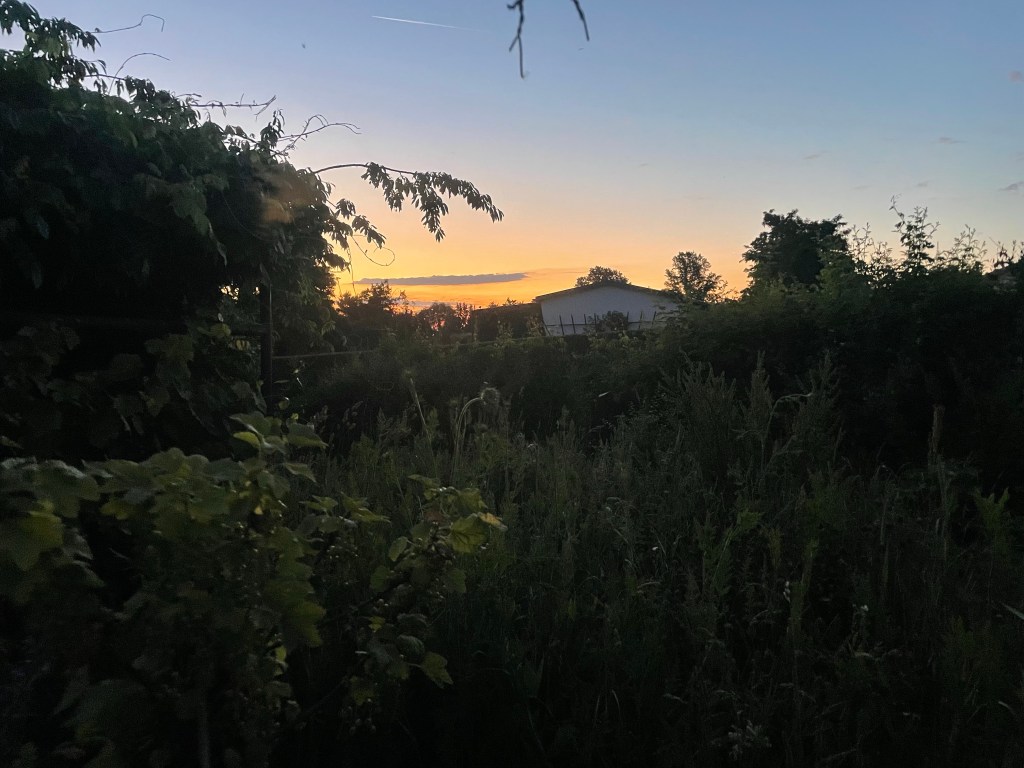Offene Gärten
Garten bei Sonnenaufgang
Tag des offenen Gartens