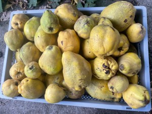 Erfahrungen sammeln und wachsen – mein Jahresrückblick 2022