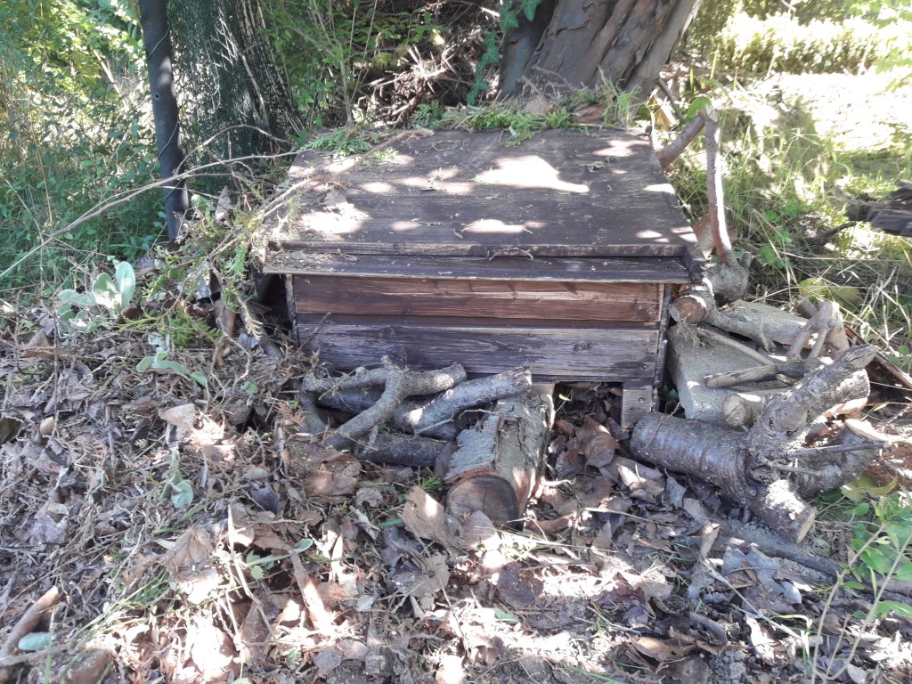 Tag des Igels- Was mache ich für&nbsp;Igel?