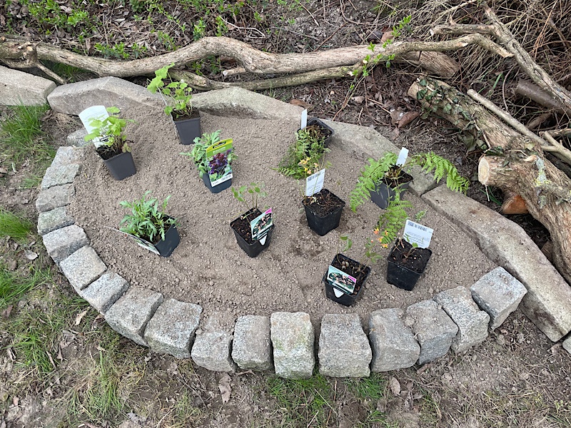 Erfahrungen sammeln und wachsen – mein Jahresrückblick 2022,
Schattenbeet mit Pflanzen,
Naturgarten Kerstin Dähne