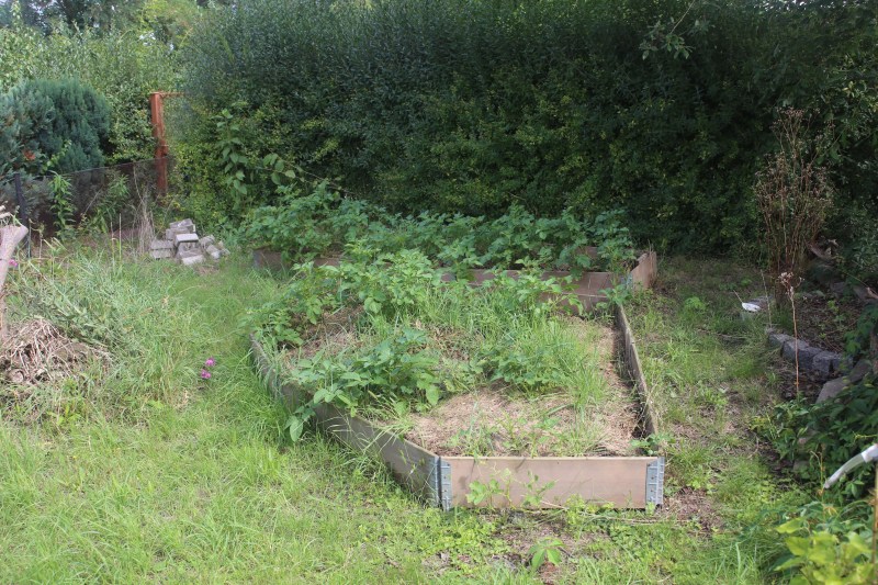 Beet mit Heukartoffeln
Naturgarten-Oase Kerstin Dähne
