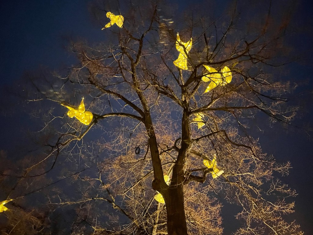 12 von 12 im Dezember 2021