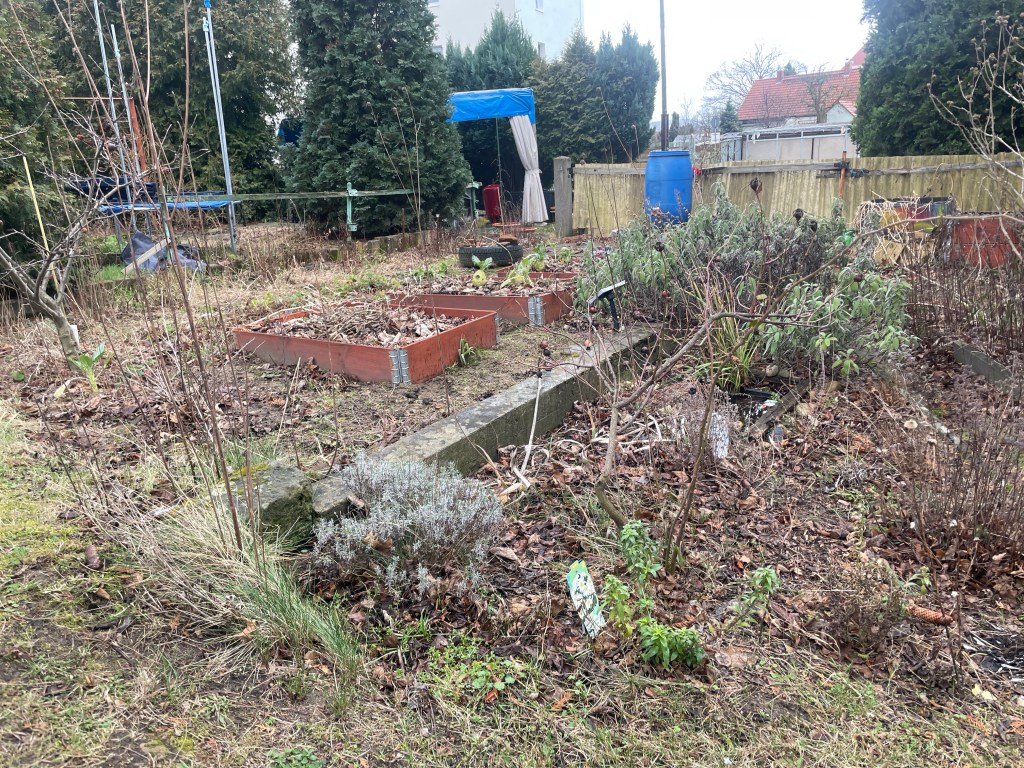 Ein Hortus soll entstehen
Naturgarten 
Natur im Garten
Welche Voraussetzungen hat der Garten?
Übersichtsartikel mit Blumenbeet.