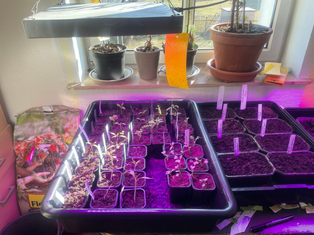 12 von 12 im Februar 2022