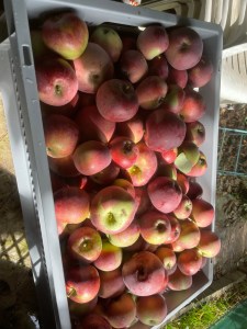 Erfahrungen sammeln und wachsen – mein Jahresrückblick 2022