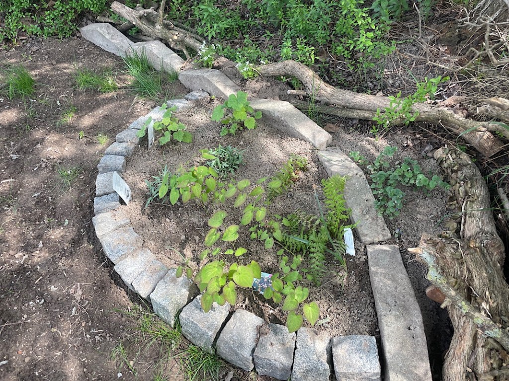Erfahrungen sammeln und wachsen – mein Jahresrückblick 2022,
Beet im Schatten bepflanzt,
Naturgarten Kerstin Dähne