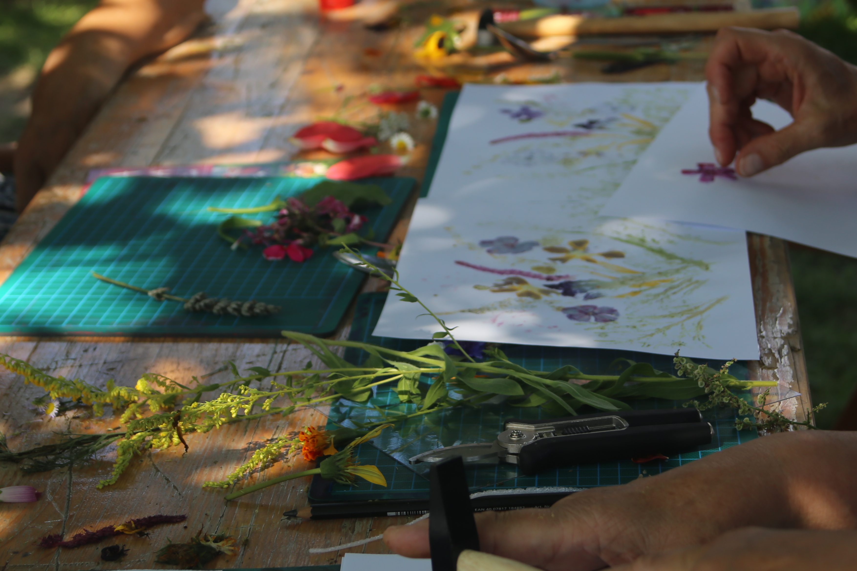 Bilder mit Pflanzen gestalten
Kerstin Dähne