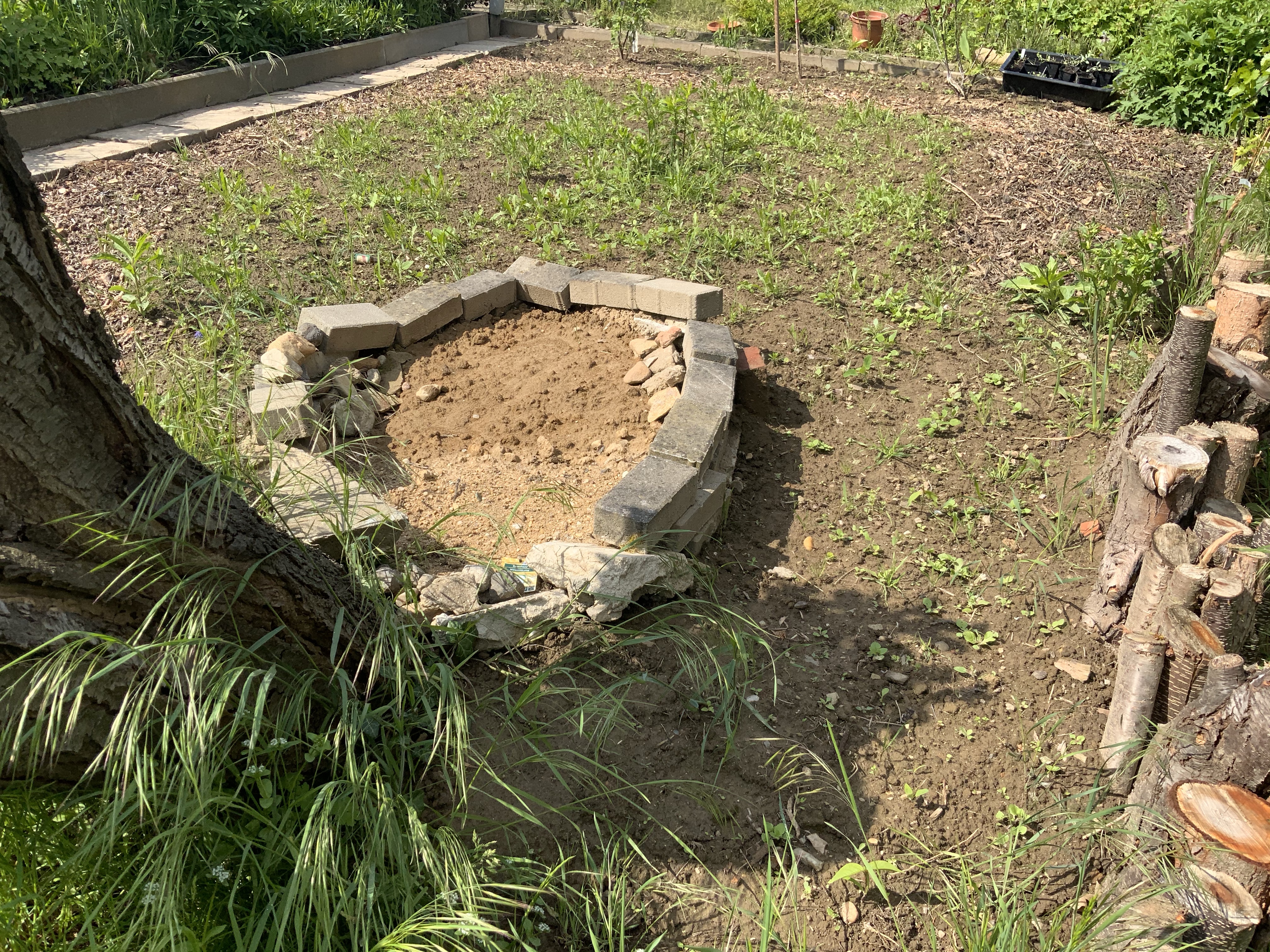 Stillstand gibt es in der Natur nicht-eine Blühwiese entwickelt sich-Veränderungen der Natur