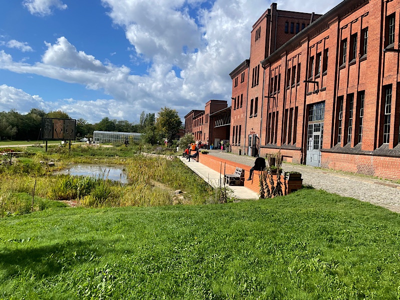 Erfahrungen sammeln und wachsen – mein Jahresrückblick 2022