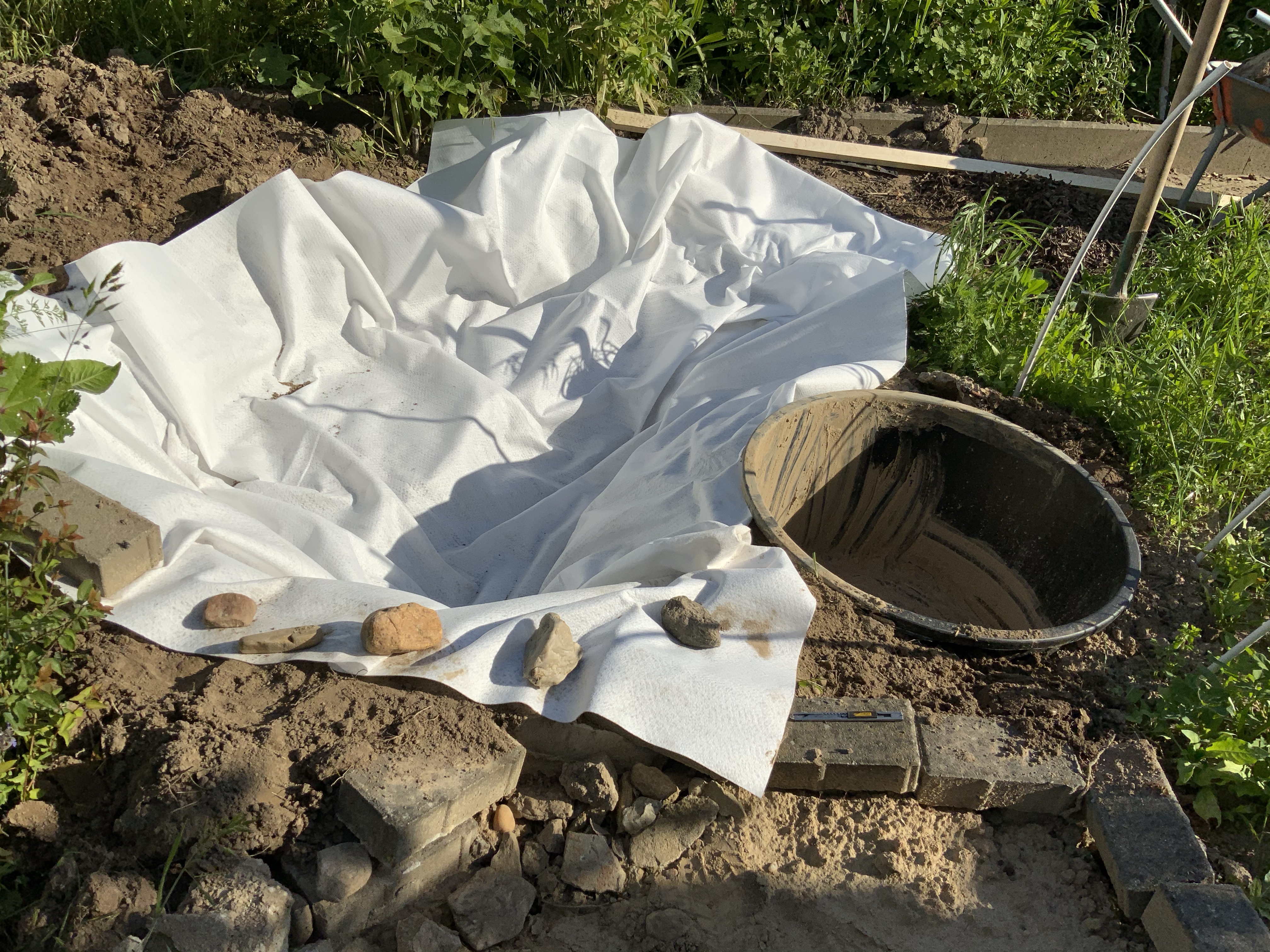 Stillstand gibt es in der Natur nicht – eine Blühwiese entwickelt sich – Veränderungen von Menschenhand