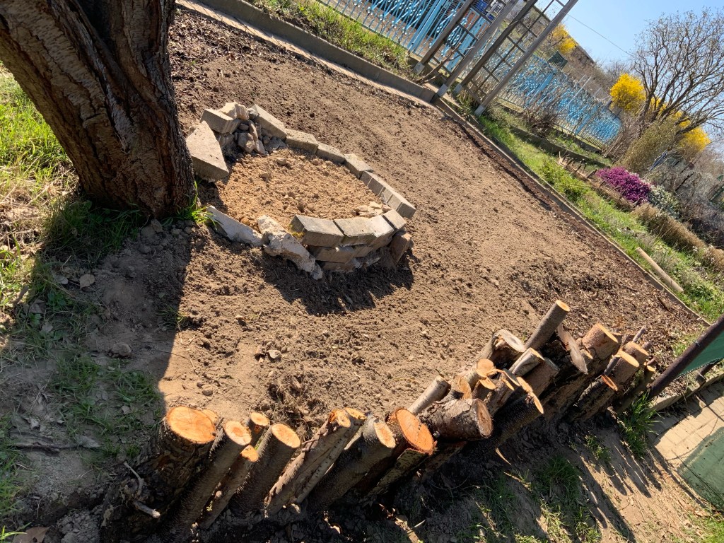 Stillstand gibt es in der Natur nicht-eine Blühwiese entwickelt sich-Veränderungen der Natur
Neuanlage der Blühwiese