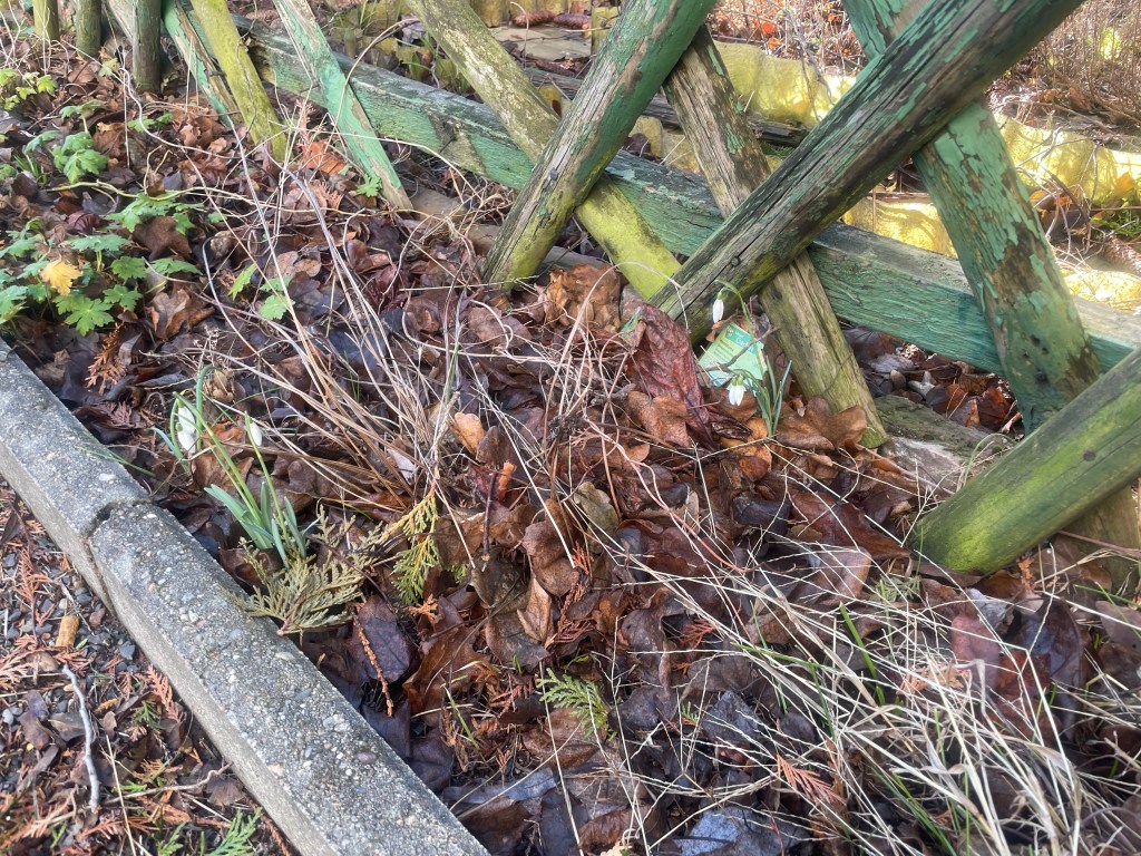 12 von 12 im Februar 2022